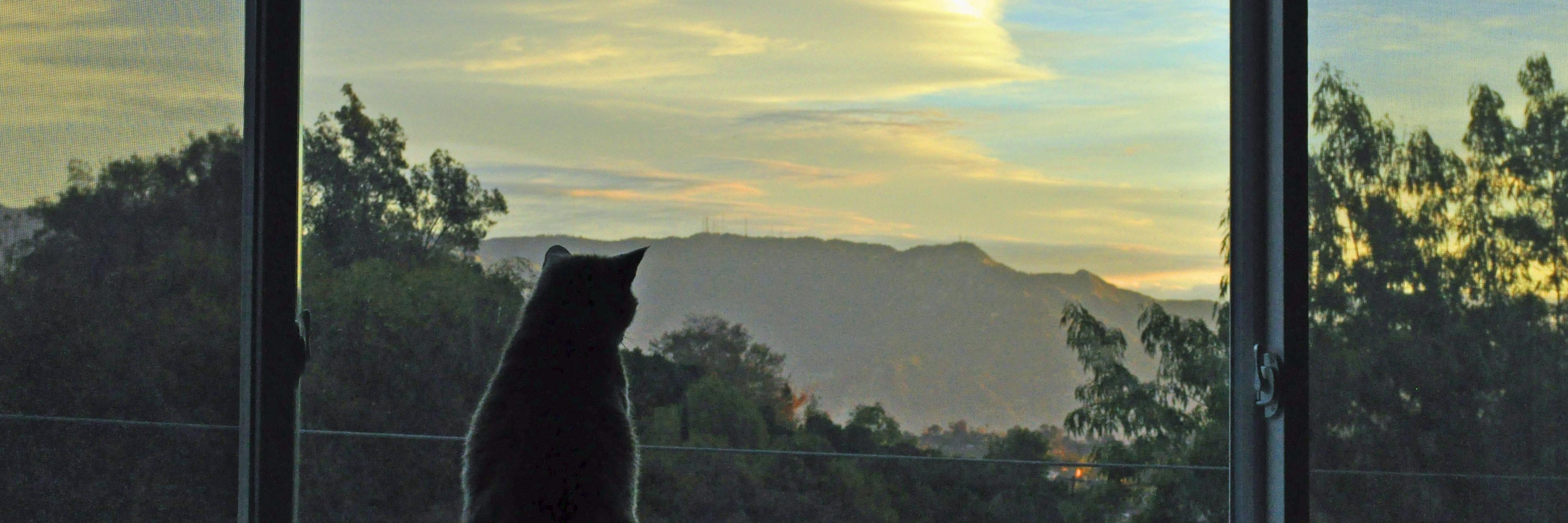 ShariHearn's profile banner image