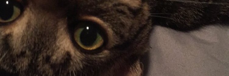 brutalily's profile banner image