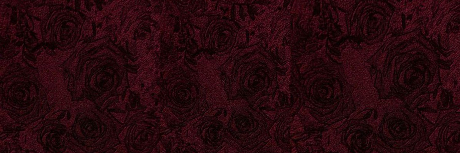 ___n551's profile banner image