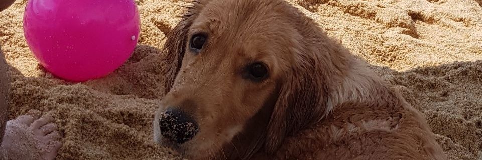 ZuadG's profile banner image