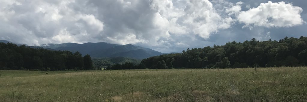 tja356's profile banner image