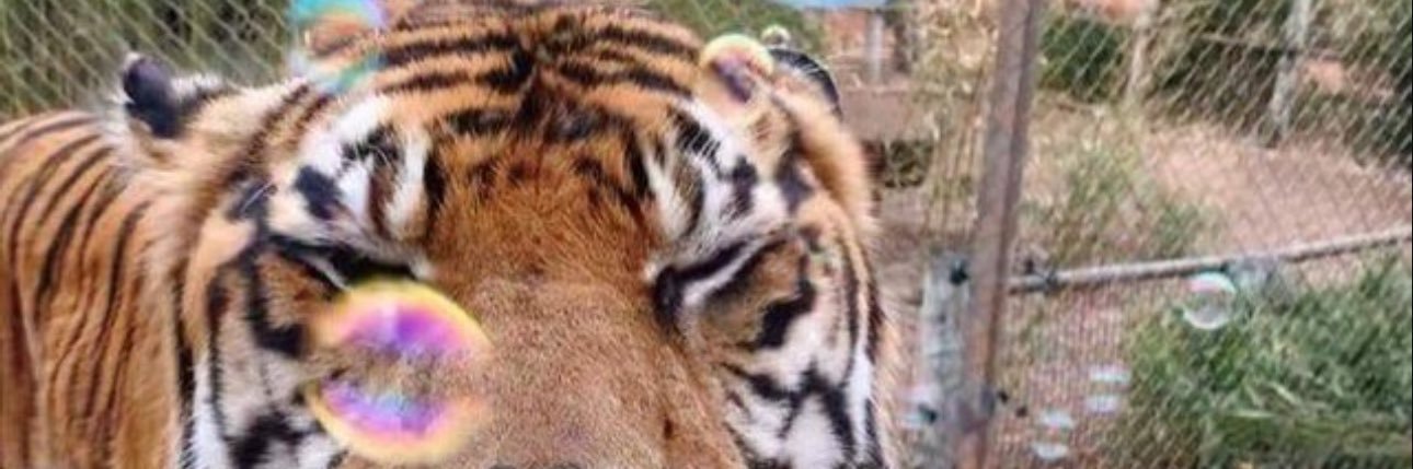 ReadMy_Thoughtz's profile banner image