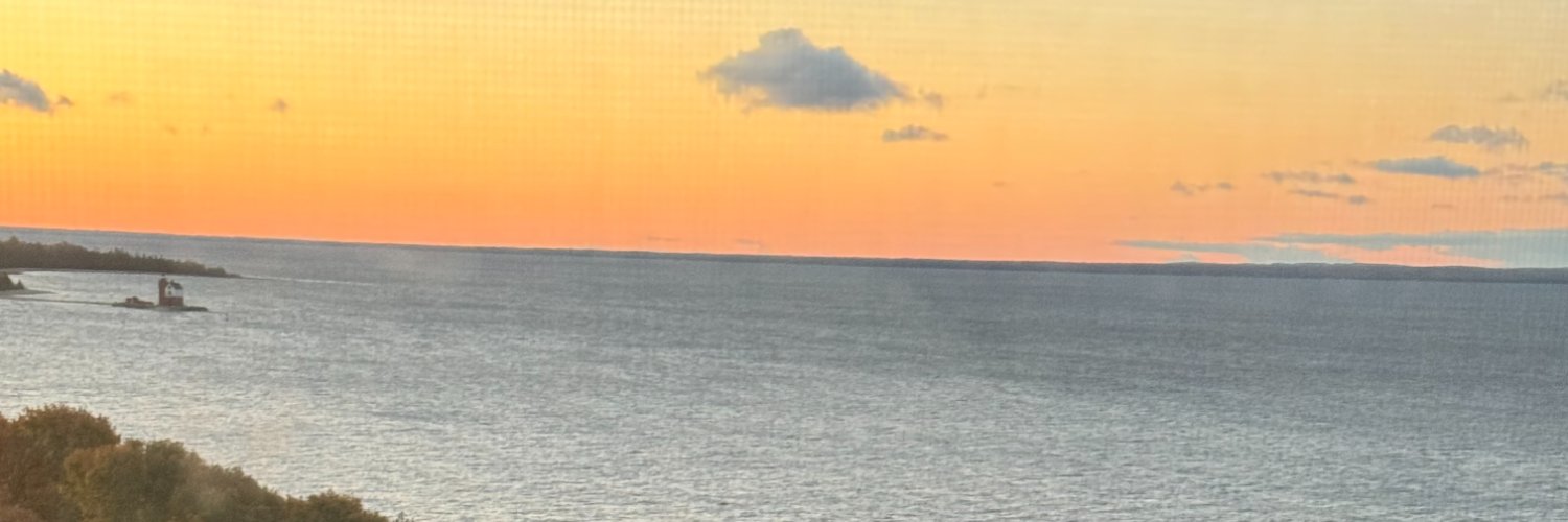 tamculler's profile banner image