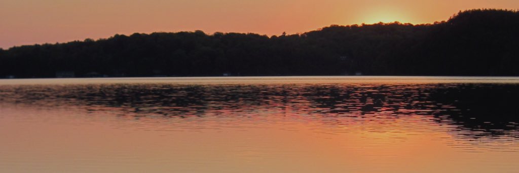 ColetteLloyd's profile banner image