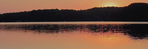 ColetteLloyd Profile Banner