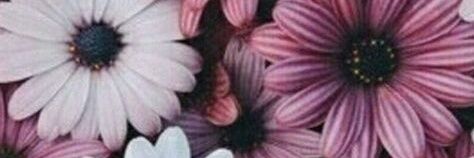 JoelysCampbell's profile banner image