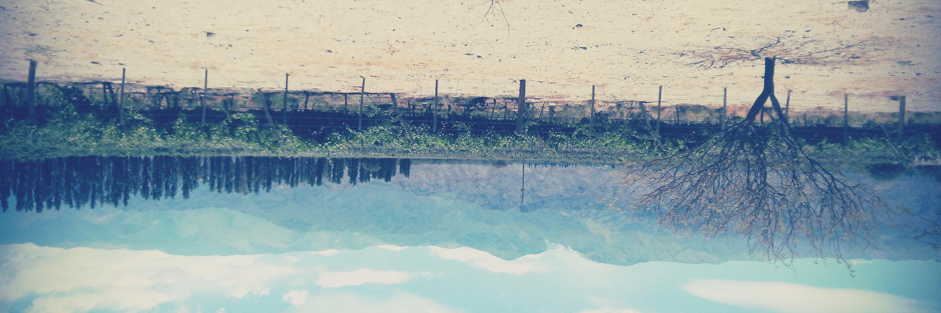 annyula's profile banner image