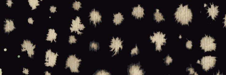 eerwuu's profile banner image