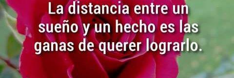 consuelo_cor's profile banner image