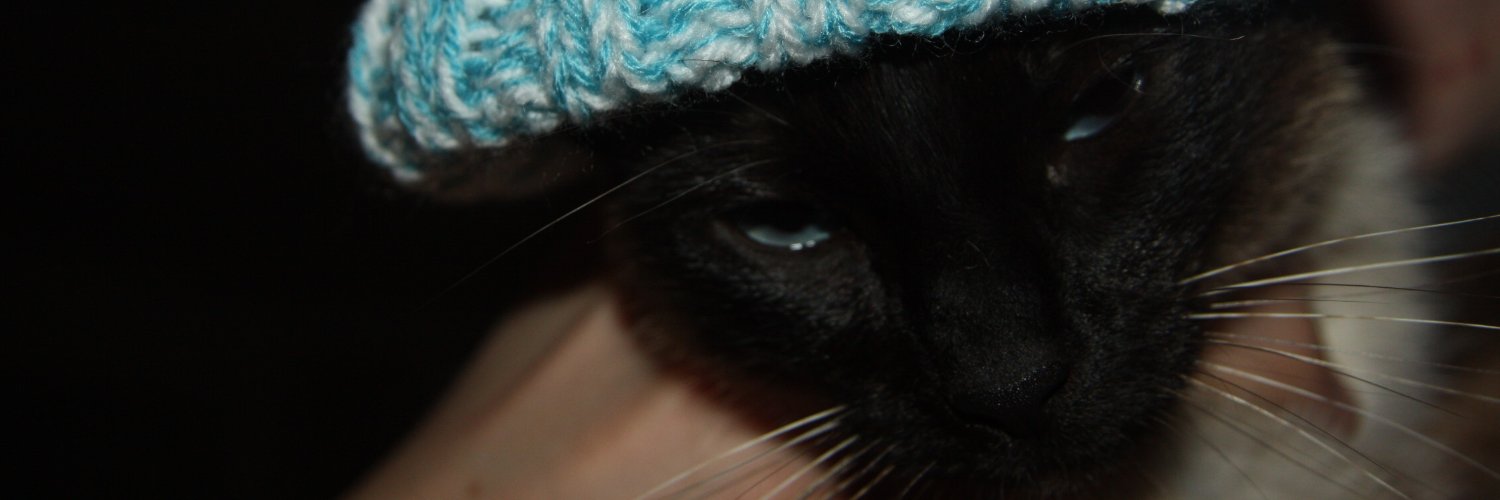 anjepien's profile banner image