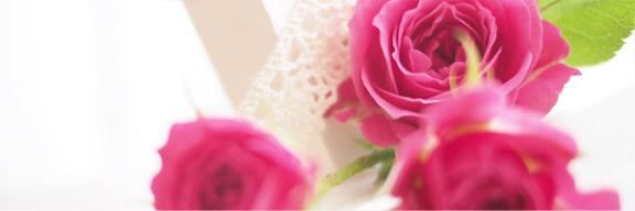 kaepunichaaan's profile banner image