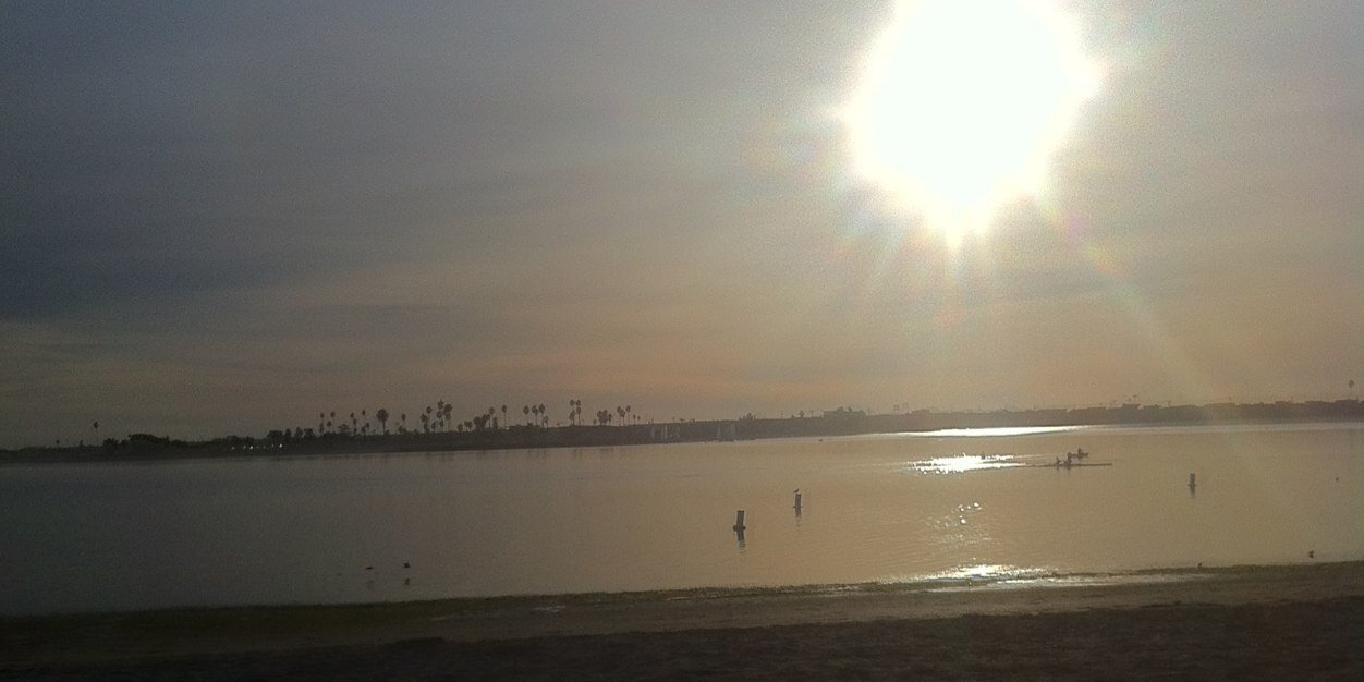 Nick Kaminsky banner