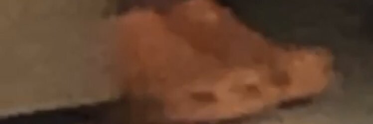 steppa_pig's profile banner image