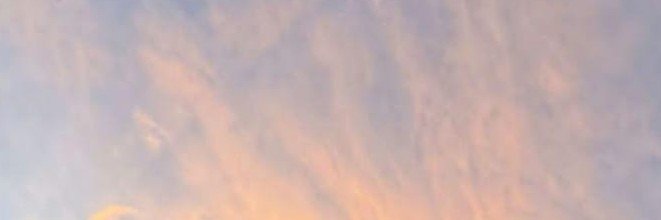 ricardobg_'s profile banner image