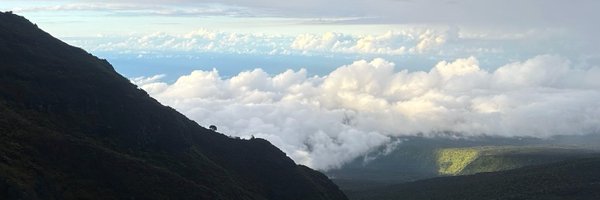 wustep Profile Banner