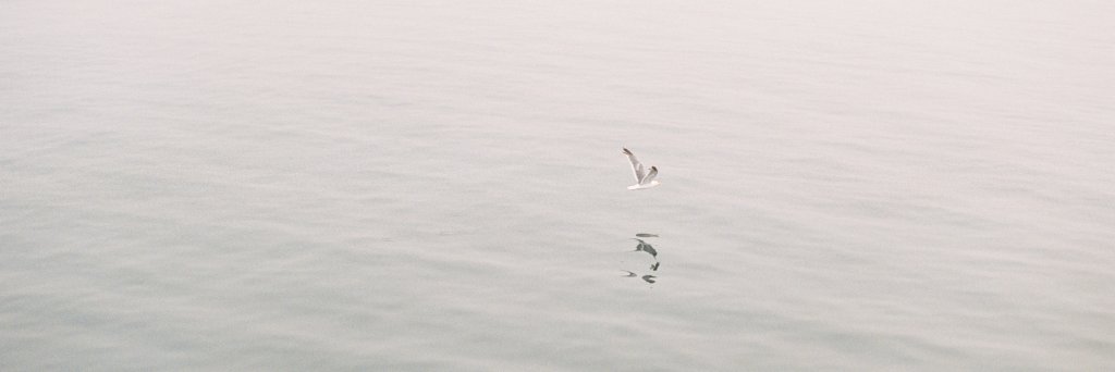 BETSYBLUECOM's profile banner image
