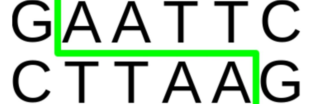 G_AATTC's profile banner image
