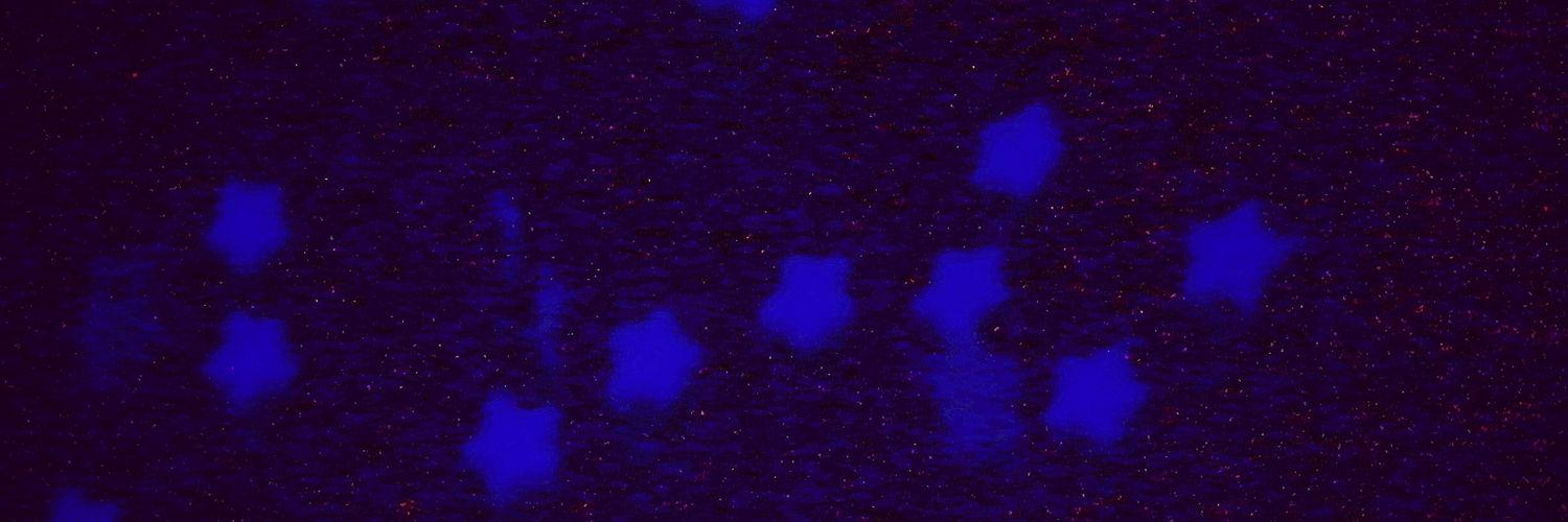 SciBarron's profile banner image