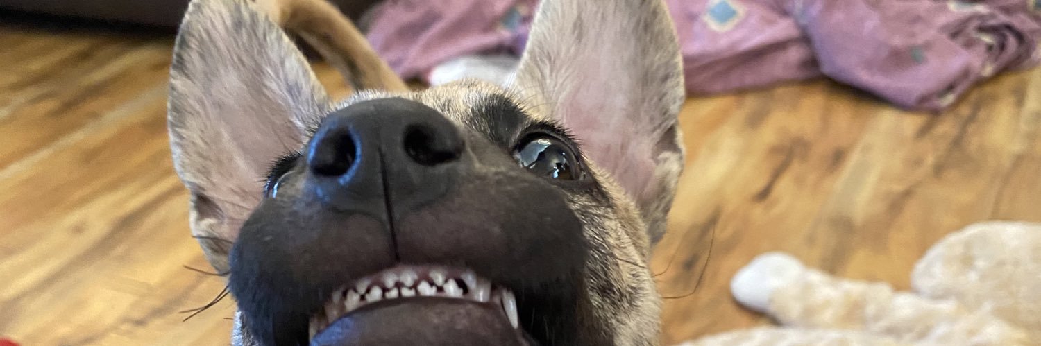 khayla_ginter's profile banner image