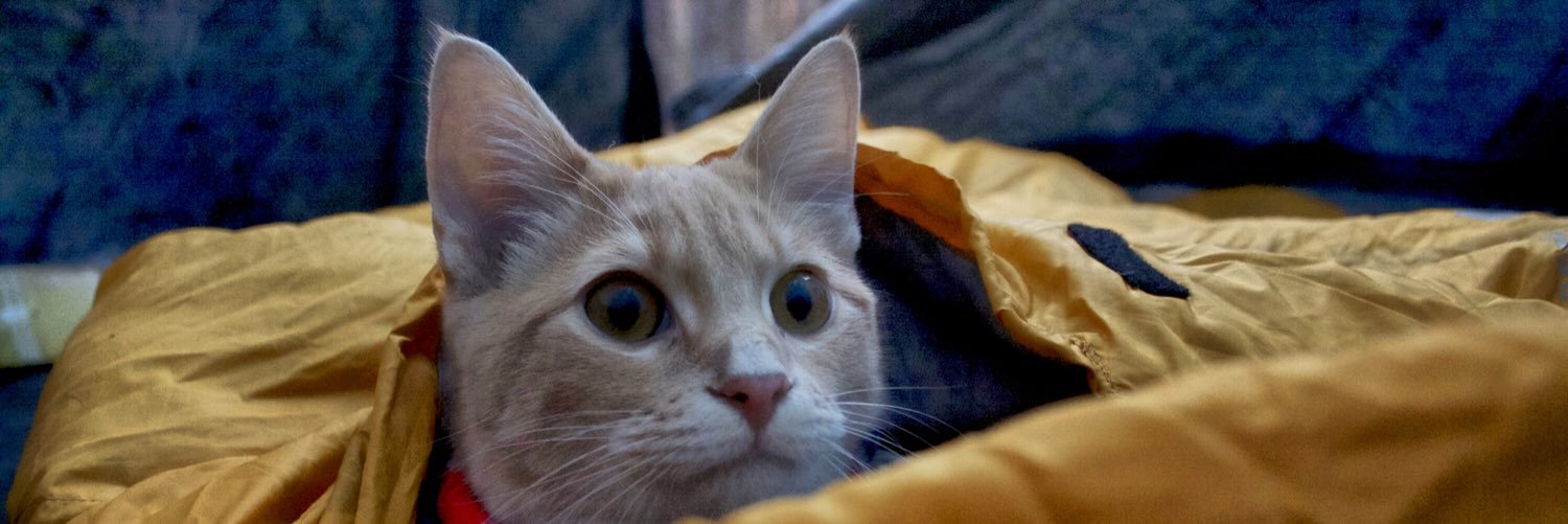 campingwithcats's profile banner image