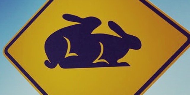 SendyFox's profile banner image