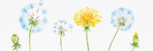 tanchan742's profile banner image