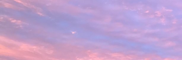 lilacmural's profile banner image