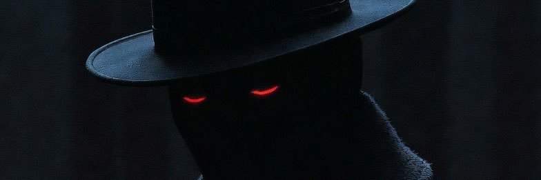 shadow_hat_man's profile banner image