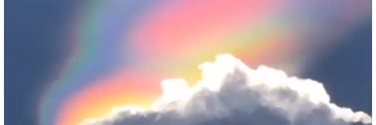 christinascards's profile banner image