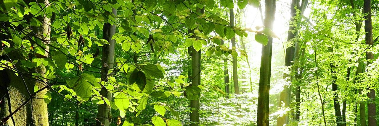 genetik_84's profile banner image