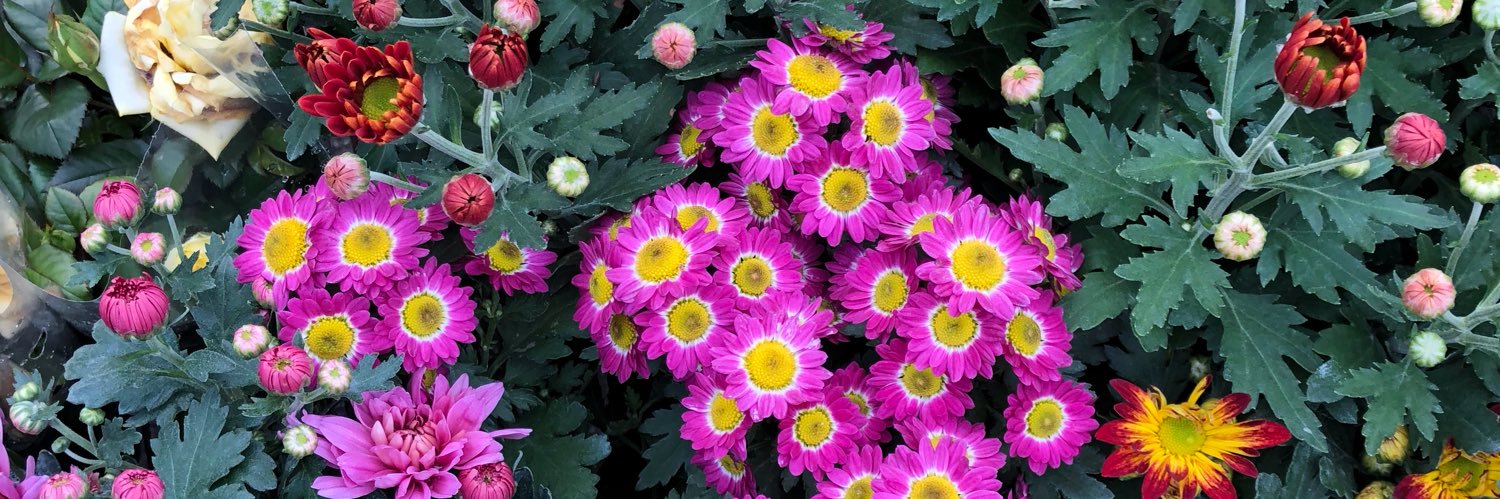 _Nnajat's profile banner image