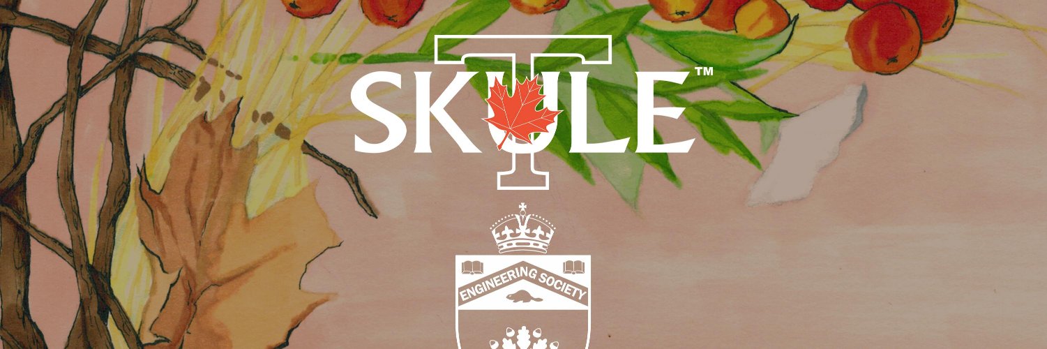Skule's profile banner image