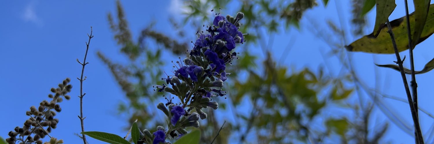 hayhowdyho's profile banner image