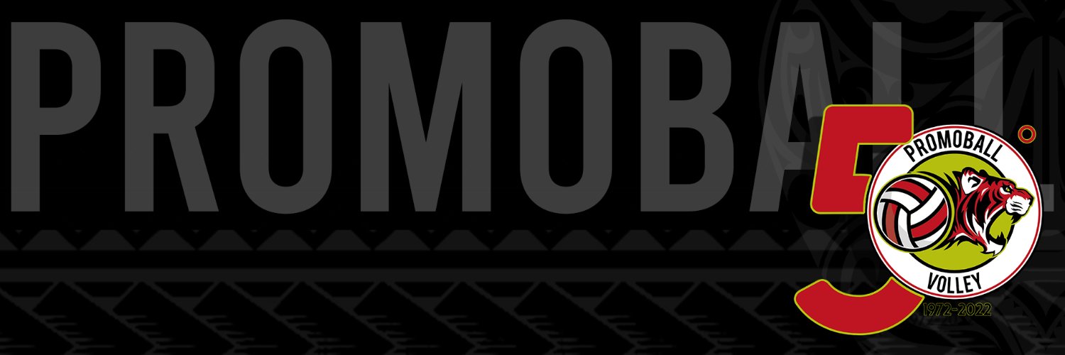 Promoballvbf's profile banner image