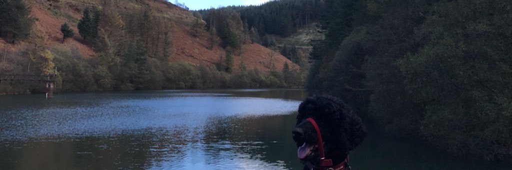 njaywills's profile banner image