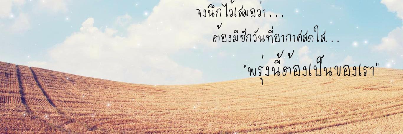 pkcdy2's profile banner image