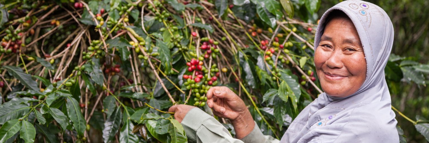 FairTradeCert's profile banner image