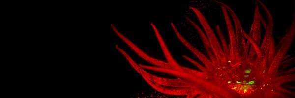 KEDougan Profile Banner