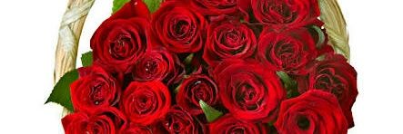 davpoonam09's profile banner image
