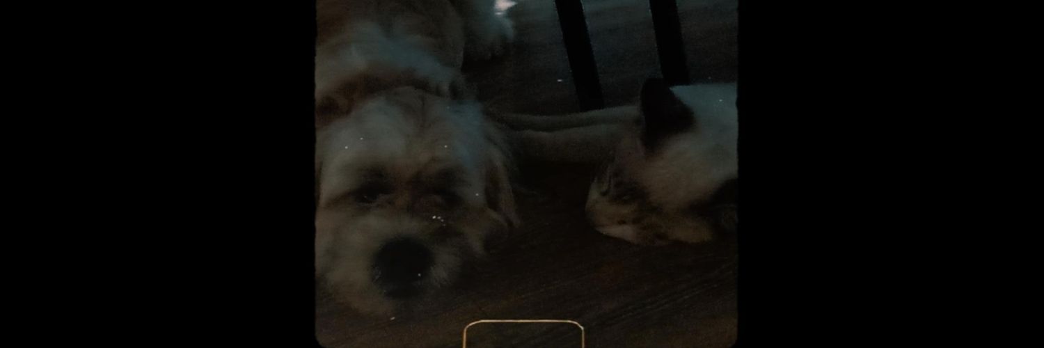 dccessg's profile banner image