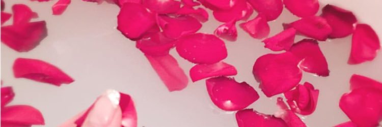 _mofu0924's profile banner image