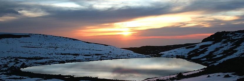 sacredmaunakea's profile banner image