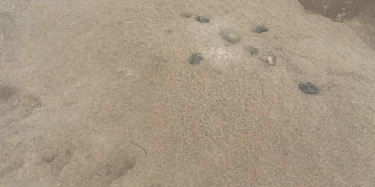 @fuenteperritos banner