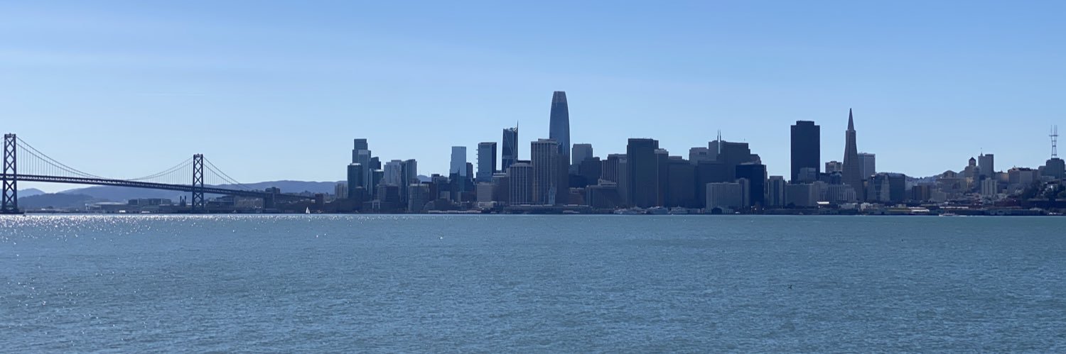 Алексей Ророкин banner