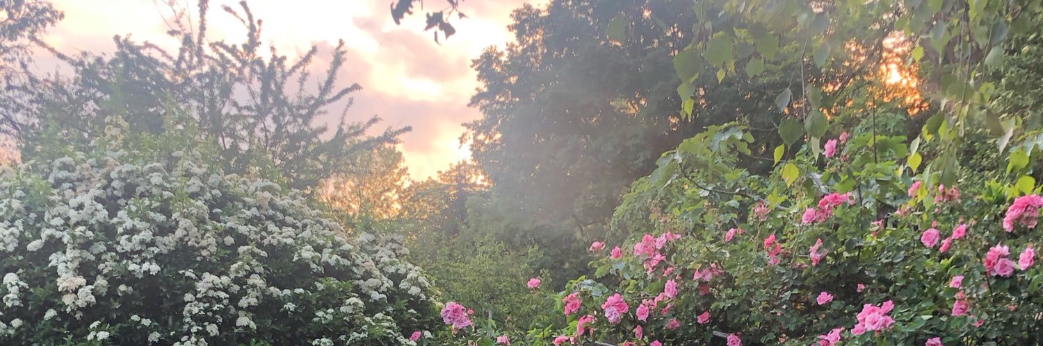 MonicaSicca's profile banner image