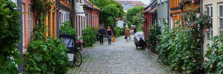 Anders Johansen banner