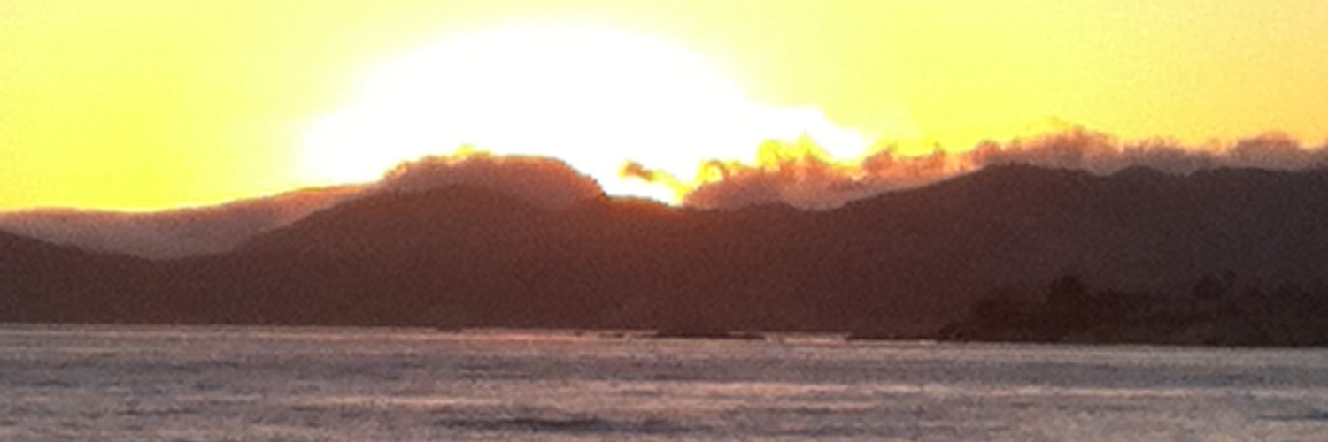 Monterey Sims banner