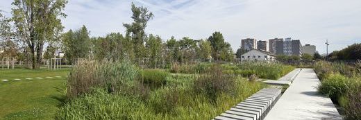 Caroline Mercier banner