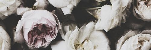 Rossettttt's profile banner image