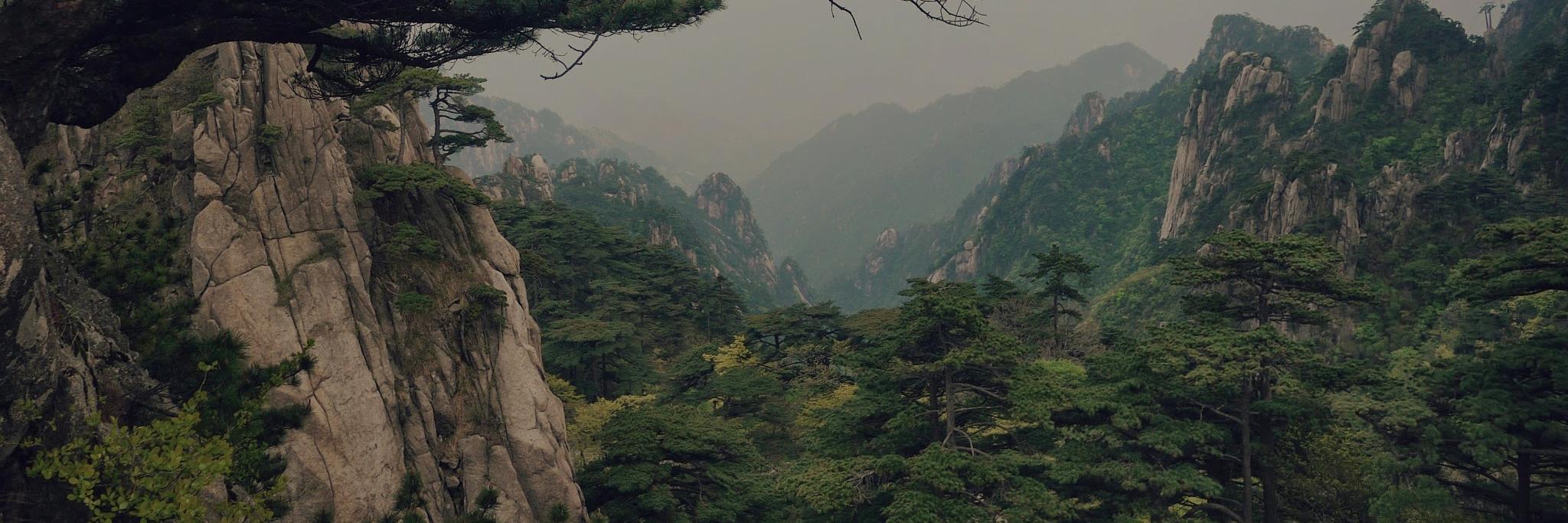NormandyPost's profile banner image